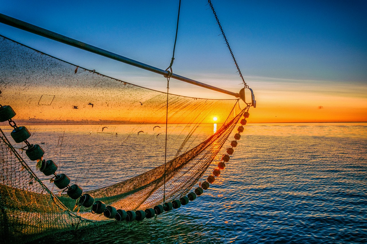 Waddenzee Waddenzee